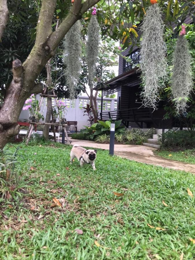 Baansuanklaiklungbangkrachao บ้านสวนใกล้กรุงบางกะเจ้า Phra Pradaeng Ngoại thất bức ảnh